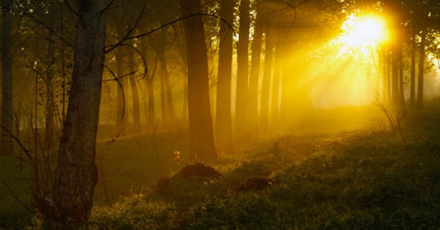 The return of light. Finding hope and life. The return of light. Finding hope and life.