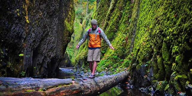 Patiently walking over a fallen log over a river.