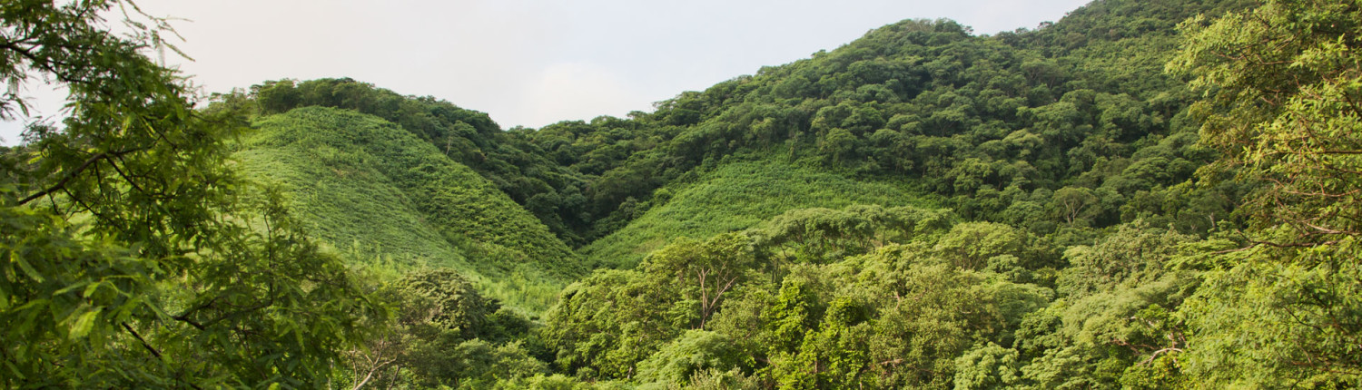 A view of the Jungle home of the Huichol Indians of Mexico