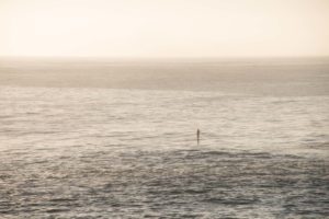 Experience Santa Cruz and the Monterey Bay