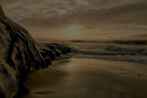 Connect with Nature in Santa Cruz, CA