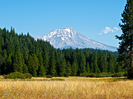 Mt. Shasta