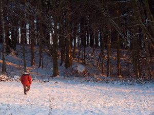 Rhön Winter Forest Shamanic Practice
