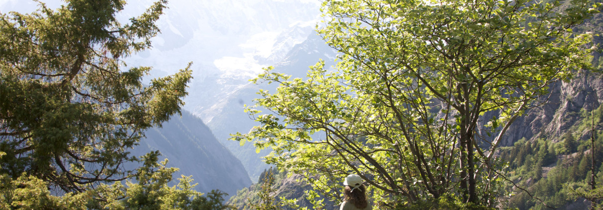 Mont Blanc Meditation