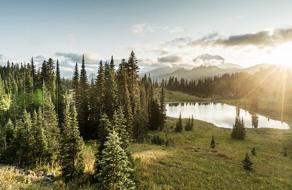 Mountains, forests, meadows and Mother Earth