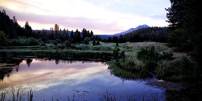 Mt. Shasta Pond Sunset