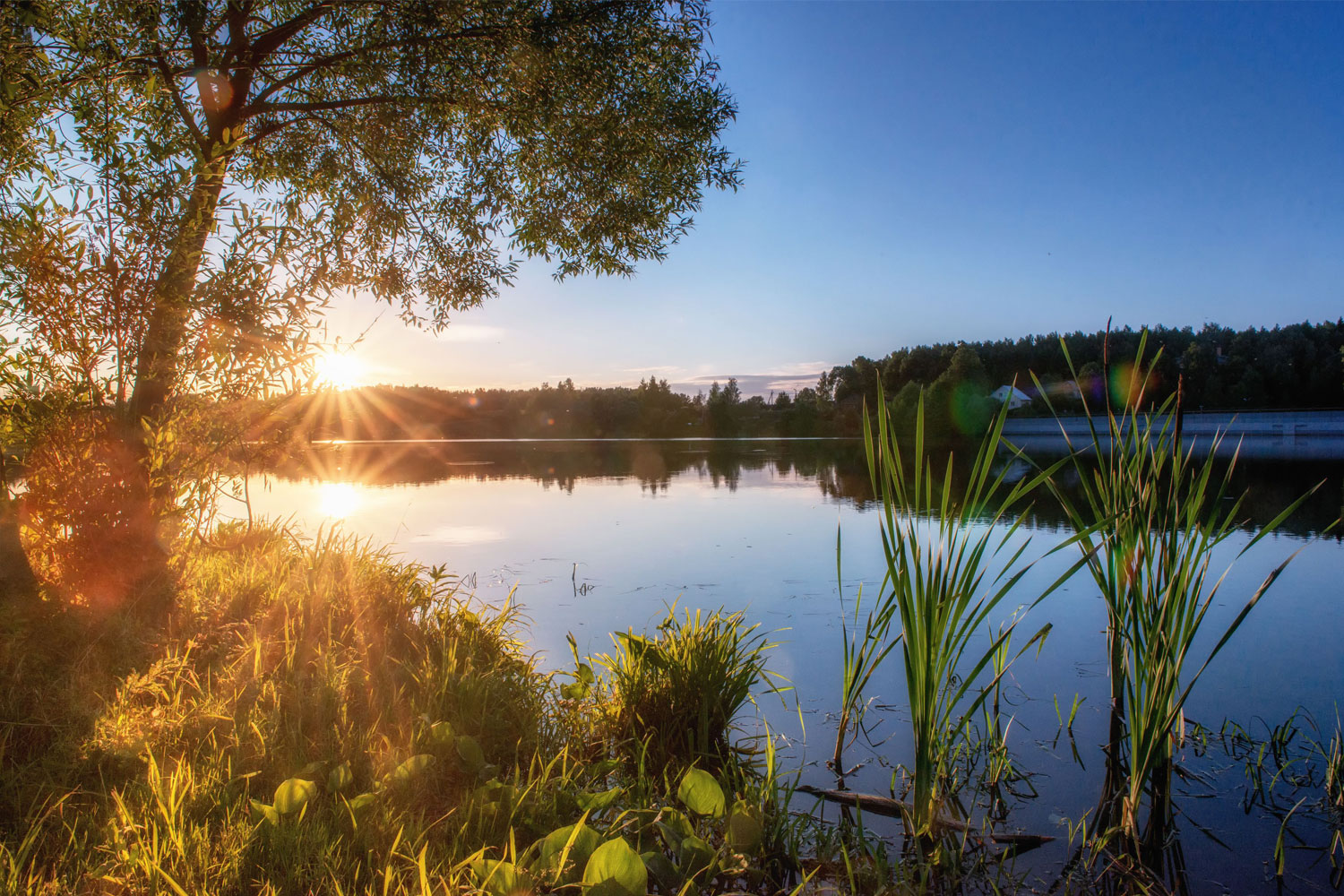 Lychensee, Brandenburg Germany