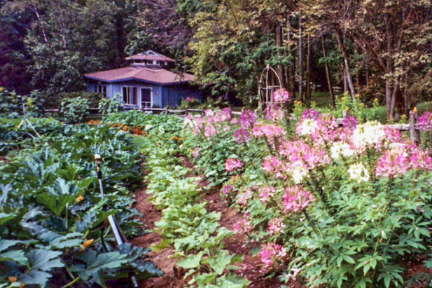 Pumpkin Hollow Retreat Center - Shamanic Workshop with Brant Secunda