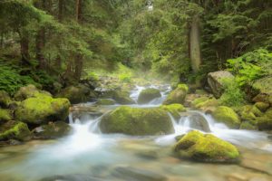 Connect with nature in the Berkshires