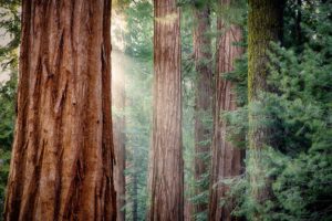 Fit Soul Fit Body at 1440 Multiversity in Santa Cruz, CA
