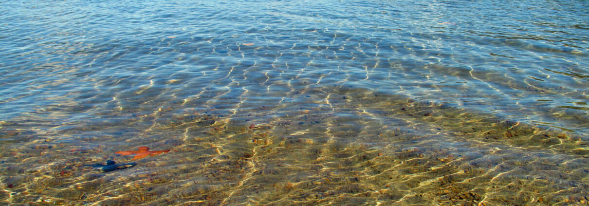 Swimming in the sacred waters of Lake George