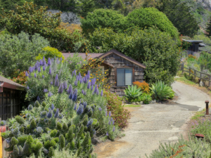 Esalen Institute Campus