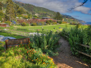 Esalen Gardens