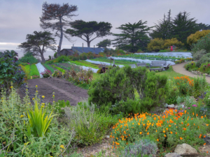 Esalen Gardens