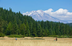 Mt. Shasta OnGoing Group Gathering