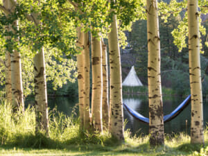 Feathered Pipe Ranch Lakeside Hammock